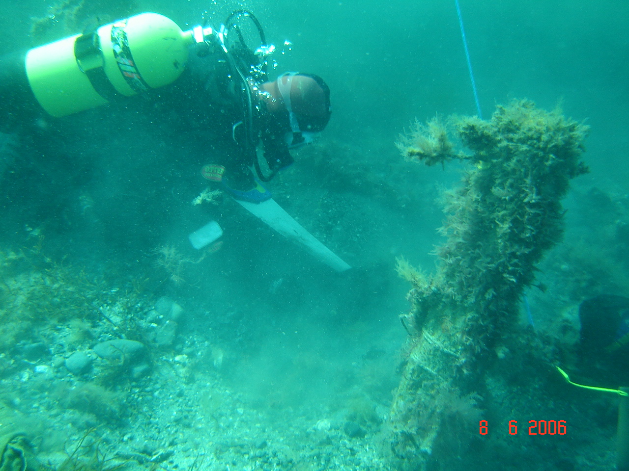  Timber samples being recovered for dendrochronological analysis   